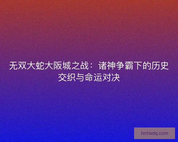无双大蛇大阪城之战：诸神争霸下的历史交织与命运对决
